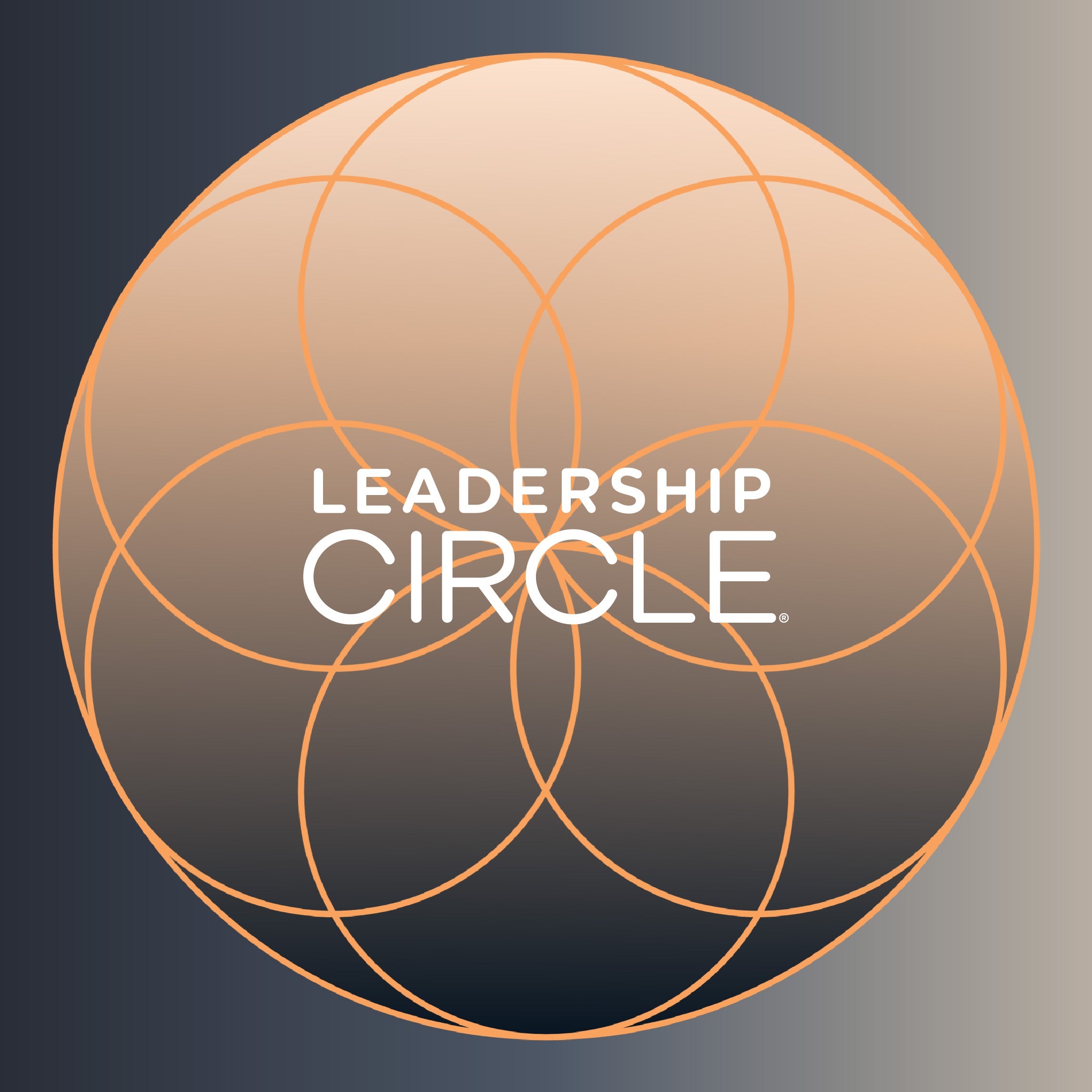 Unity Academy – Leadership Circle North America