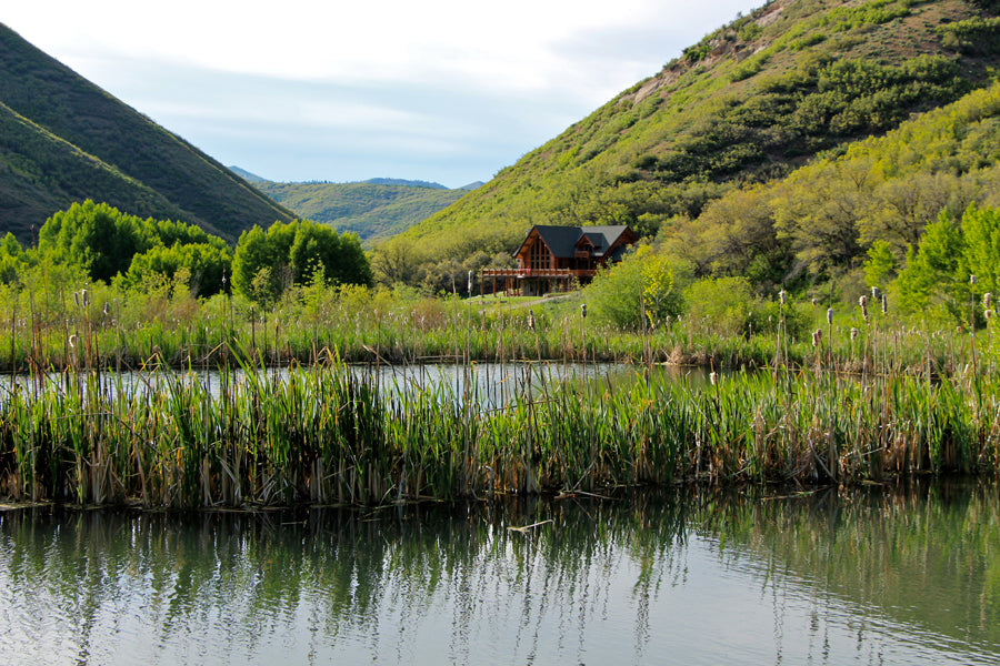 Leadership System Certification - Park City UT, October 14-16 | 8:30-5:30 MT