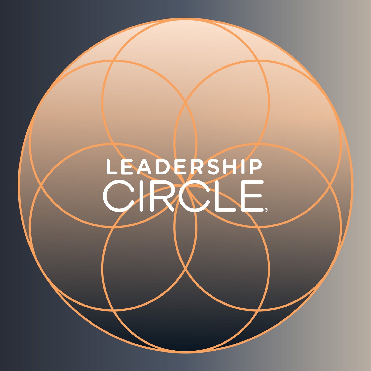 In-Person The Aikido of Embodied Presence & Dialogue with Bob Anderson, Chris Thorsen, and Joel Yanowitz – November 15-17, 2023 | 8:30am-5:30pm CT