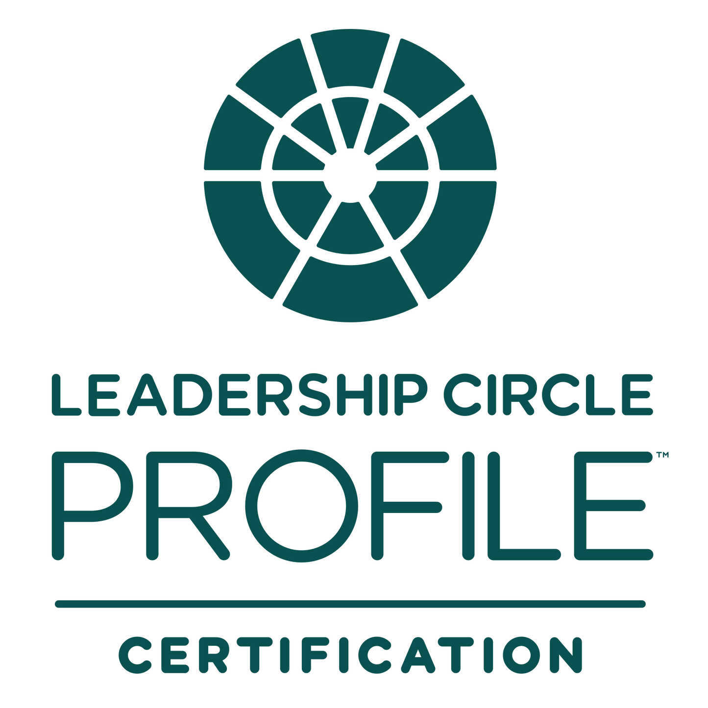 Certificación Virtual Leadership Circle Profile - Junio 17-21, 2024 | 8:00 AM A 1:00 PM CDMX (5 días)